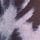 Plavi leopard Animal