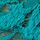 Teal Blue