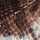 Chocolate Brown/Snake Print