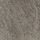 Lion Grey