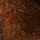 Chocolate Brown