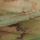 Sage Green Scenic