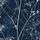 Navy  Silver