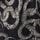 Black Snake