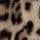 Animal Print