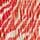 Coral Pink Zebra