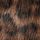 Brown Leopard Print