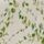 Springtime Leaves Green