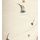 Ecru Cream Ditsy Floral Embroidered