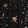 Black/Gold Star
