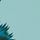 Creatura Turquoise