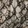 Animal Print Snake