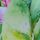 Navy/Purple Tropical
