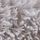 Silver Grey