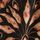 Black/Tan Palm Print