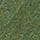 Mildew