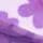 Lilac Daisy