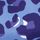 Blue Leopard