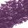 Purple Passion 06