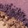 Beach Plum - Shimmer