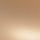 500N Neutral Medium Dark