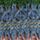 Blue Stripe