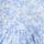 Blue/White Floral