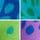 Bright Pattern