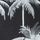Black/White Palm