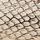Cream Snakeprint
