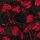 Black Cherries