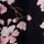 Black Japanese Cherry Blossom