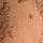 Tan 19