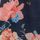 Coral/Blue