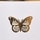 Butterfly Redesign