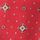 Red Foulard Print
