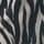Ecru Zebra