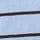 Blue Stripe