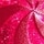 Twisted Peppermint