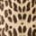 Leopard Print