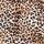 Leopard Love Velvet