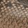 Snake Print