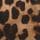 Leopard Graphic