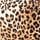 Leopard Love Velvet