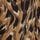 Brown Animal Print
