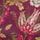 Cerise