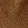 Chestnut
