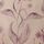 Hyacinth