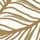 Bronze or Ivory