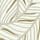 Linen or Champagne